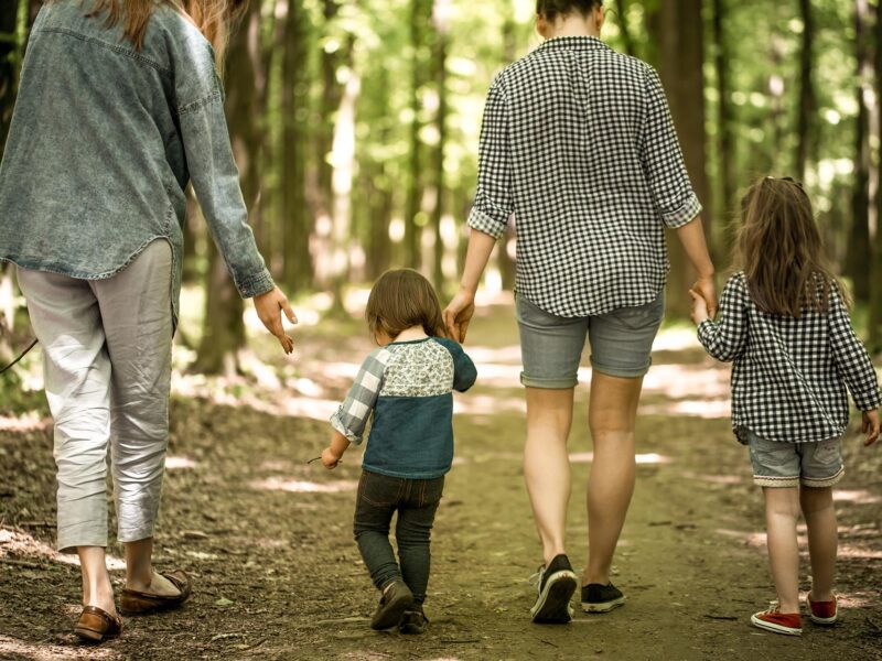 a young Mother with young daughters walk in the woods,the concept of family relations,mother's day